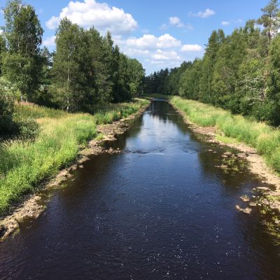 Lapuanjoki Lakaluomalta Karan sillalta kuvattuna 25.7.2018