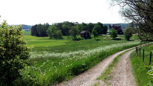 Enligt Syssner behöver speciellt glesare kommuner fundera över hur man ska hålla igång välfärden med skola och bra service, även om kommunen krymper i framtiden. sommarlandskap