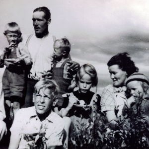 Hely Tuorilan perhe heinäpellolla vuonna 1952.