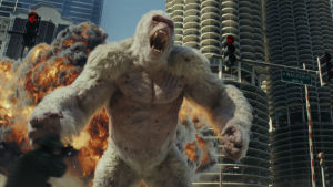 Gorillan George mejar ner hus i Chicago.