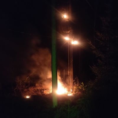 Transformator brinner i en skog.
