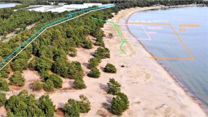 Den gröna linjen på Forststyrelsens bild visar var den nya gångbanan i trä planeras. Det ljusröda är naturiststranden. Vita och blå linjen visar var staketet och stigen till sydvästra Tulludden löper. Ett flygfoto över sanddynerna på Tullstranden i Hangö. På bilden ses linjer i olika färger som visar till exempel var den planerade gångbanan i trä ska löpa.