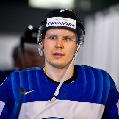 Ville Pokka, Leijonat