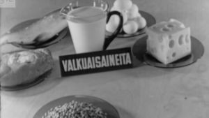 Valkuaisainepitoisia ruokia