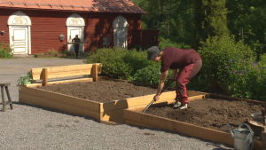 Elin Skagersten-Ström puuhastelee Strömsön puutarhassa