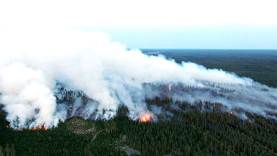 Ilmakuva Kalajoen maastopalosta.