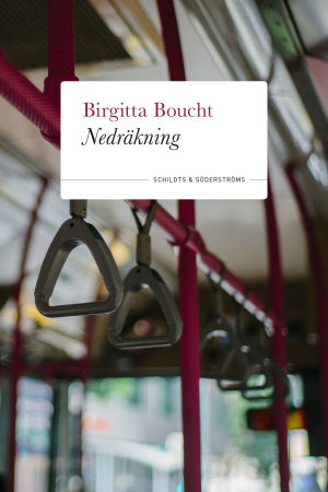 Bokomslag Bild på bokomslaget till "Nedräkning" skriven av Birgitta Boucht.