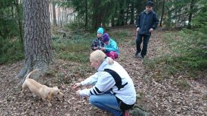 Kosteus, lämpö ja tiheä kasvusto houkuttelevat punkkeja. Perhe ja koira metsässä.