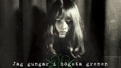 Marianne Backléns roman Jag gungar i högsta grenen, 2015.