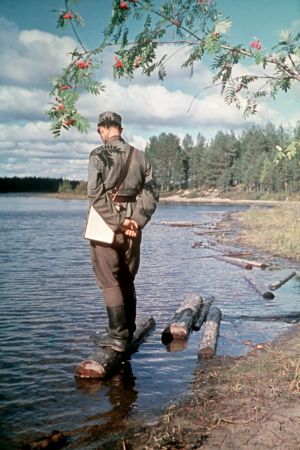 Suur-Suomi-selfie - Olavi Paavolainen poseeraa Aunuksen Karjalassa vuonna 1942 Kim Borgin ottaessa kuvaa ja avustajan pidellessä pihlajanoksaa.