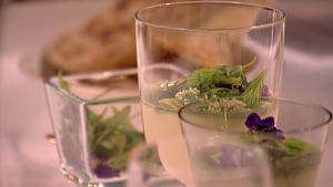 Kvannepudding med svartvinsbärsbladshonung Kvannepudding med svartvinbärshonung.