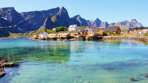 Lofotens idylliska och orörda natur lockar - för mycket. En hamn i Lofoten, i förgrunden turkost vatten och i bakgrunden berg.