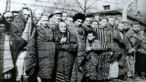 Överlevande fångar i Auschwitz i januari 1945. Överlevande fångar i Auschwitz i januari 1945.