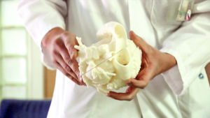 Lääkärin käsissä potilaan sydämestä tehty 3d-malli.