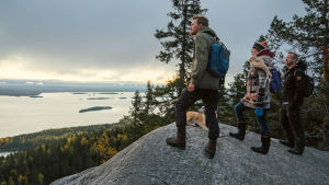 Yhdeksänosainen uusi sarja Metsien kätkemä vie katsojat suomalaiseen luontoon kokemaan kauniita, vaikuttavia ja mielikuvitusta kutkuttavia paikkoja.