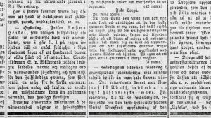 Den 24 oktober 1878 berättade Hufvudstadsbladet att ett hundratal kvinnor hade samlats vid Nya teatern för att hylla landets första kvinnliga läkare Rosina Heikel. Den 24 oktober 1878 berättade Hufvudstadsbladet att ett hundratal kvinnor hade samlats vid Nya teatern för att fira Rosina Heikel.