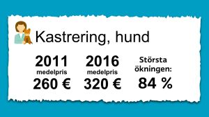 Medelpris för kastrering av hund 2011 och 2016 Priset på kastrering av hundar. 2011 var medelpriset 260 € och 2016 var det 320 €.