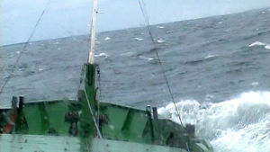 Det blåste mellan 24 och 28 meter i sekunden då Irma gick under. (Illustrerande bild) M/s Pamela i stormigt hav, Yle 2001