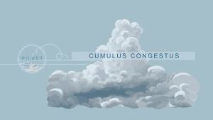 Cumulus congestus -pilvet ovat kuin hassuja pilviotuksia Cumulus congestus -pilvi