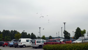 Området i dag är till stora delar obebyggt. Mellan köpcentret och havet finns mestadels parkering. Kanadagäss flyger över en parkering.