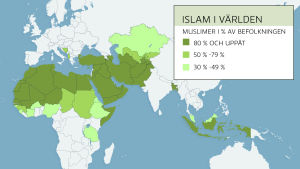 Det finns drygt 1,3 miljarder muslimer i världen. Kartan visar de länder där muslimer utgör minst 30 procent av befolkningen. Många länder har en stor muslimsk befolkning som dock utgör en mindre andel av landets befolkning. I Indien finns det till exempel 158,4 miljoner muslimer – den näst största muslimska populationen i världen – men de utgör bara cirka 13 procent av landets totala befolkning. Flest muslimer, 196,5 miljoner, bor det i Indonesien. Det finns drygt 1,3 miljarder muslimer i världen. Kartan visar de länder där muslimer utgör minst 30 procent av befolkningen.