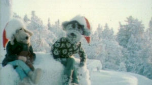 Karvakuonojen joulujakso 1978.