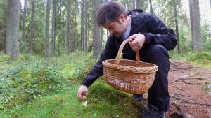 Henri Alén kävelee metsässä poimimassa sieniä.