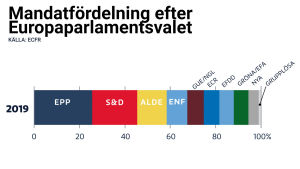 I parlamentsvalet kan de populistiska högerpartierna komma att tränga undan mittenpartierna, förutspår tankesmedjan ECFR. Prognos över parlamentets sammansättning efter EU-valet. Källa: ECFR