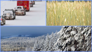 Klimatförändringen kommer att påverka mycket på jorden. Hur kommer den påverkar kiselalgen? Illustrerande bild av trafik, jordbruk och jordbruk.