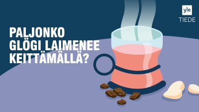 vapaa teini vittu vid