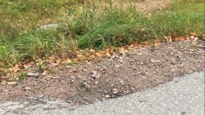 Ytterligare en bild föraren har bifogat i sin begäran till kommunen. En vägkant med en grop.