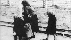 Kvinna och barn på Auschwitz-Birkenau i juni 1944. På väg till gaskammaren i Auschwitz i maj 1944.