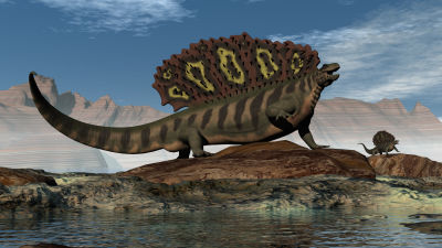 Konstnärens föreställning av en edaphosaurus från perm-perioden.
