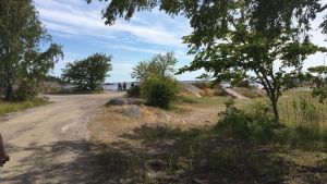 På en liten bit av stranden går det i dag en rätt bred sandväg. En sandväg i ett naturområde nära havet.