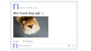 Allt du lägger ut på Facebook äger någon annan. Bilden är gjord i Photoshop. Photoshoppad statusuppdatering.