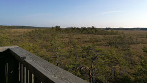 Utsikt från fågeltorn i Valkmusa nationalpark. Utsikt från fågeltorn i Valkmusa nationalpark