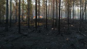 Drygt 50 personer evakuerades från sina hus och fritidshem på grund av den stora skogsbranden. Backgränd FBK:s brandbil syns bakom uppbränd skog i Pyhäranta.
