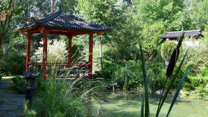 Punainen, kiinalaistyyppinen paviljonki lammen rannalla puutarhassa