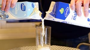 Arlan ja Valion tlkeistä kaadetaan maitoa samaan lasiin.