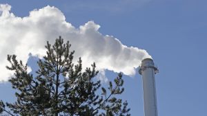 Savua nousee Joensuun Fortumin CHP voimalaitoksen piipusta.