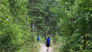 Mies lenkkeilee metsässä.