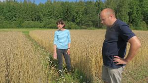 Luonnonvarakeskuksen Marja Jalli ja Terho Hyvönen