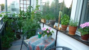 Vihreä parveke keskellä kaupunkia