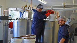 ”Vi tillverkar glass till restauranger, kaféer, supermarketkedjor och för privata kretsar. Produkter utvecklas i enlighet med kundernas önskemål.” Sari Laakso, Caminito Glasstillverkare Caminito i Esbo.