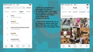 Så här fungerar hashtags. Skärmdumpar med förklarande text på hur man söker på hashtags i Instagram.