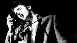 Seitsemän kertaa Elvis