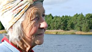 Dok: Ulkosaariston uskomaton Dora