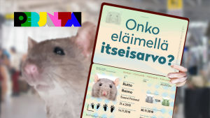 Onko eläimellä itseisarvo?