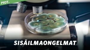 Bisnestä sisäilman myrkkymittauksilla