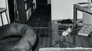 Historia: Patty Hearstin tarina